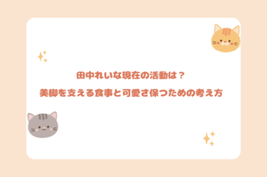 田中れいな現在の活動は？美脚を支える食事と可愛さ保つための考え方